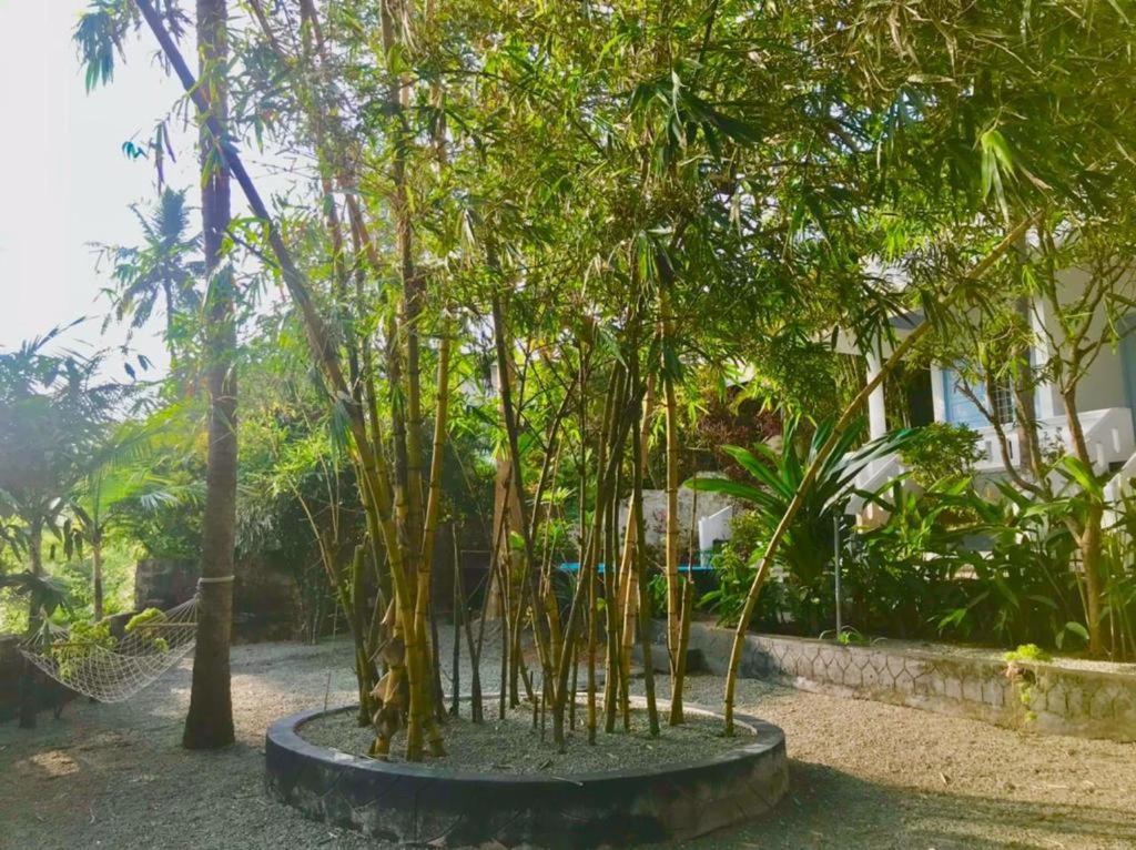 Petit Ana Beach Retreat Varkala Exterior foto